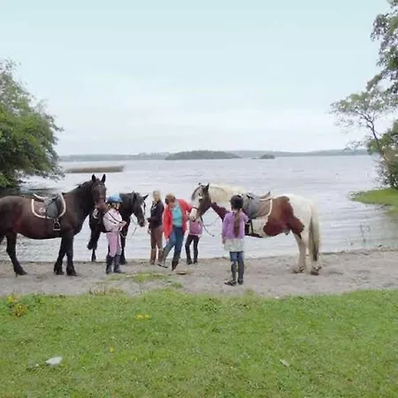 Апартаменты Carraig House Sleeps 2 Pets Allowed Каван