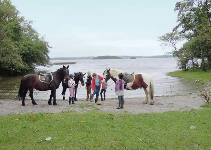 Apartamento Carraig House Sleeps 2 Pets Allowed Cavan